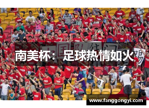 南美杯：足球热情如火